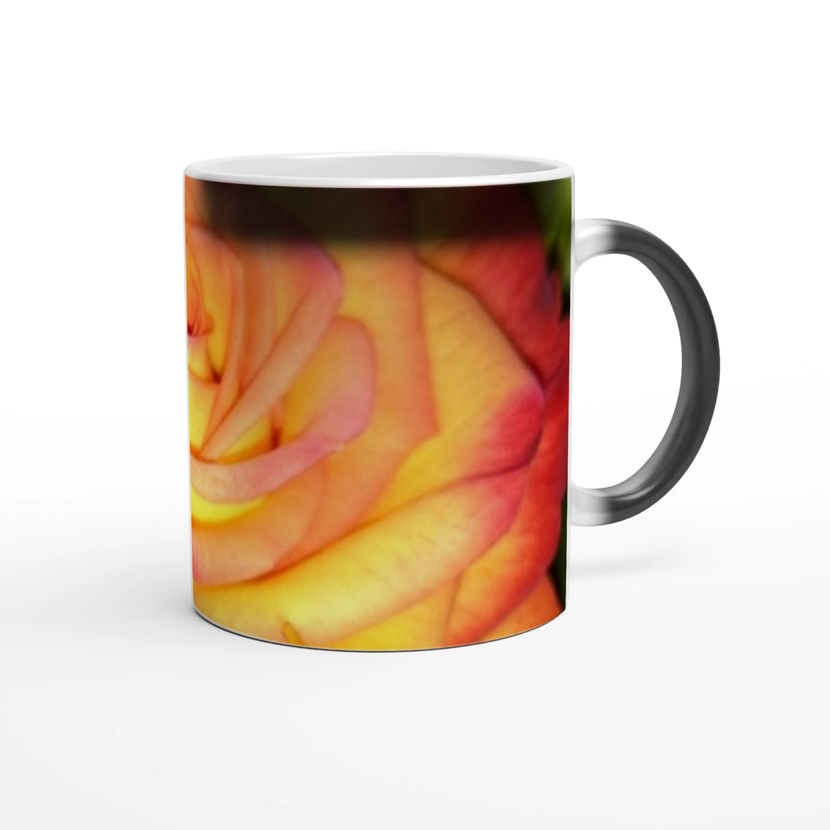 3d37bd41-5ed0-46c2-ae4e-e76514038767